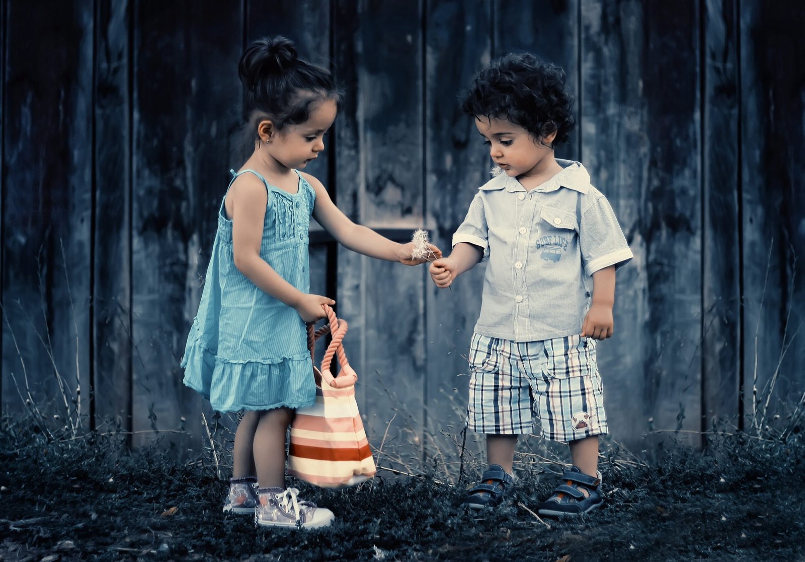 SET Mini — Kids Collection